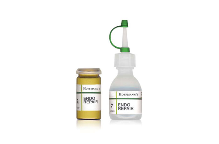Endo-absorb-repair-hoffmann-dental-material-manufaktur-product